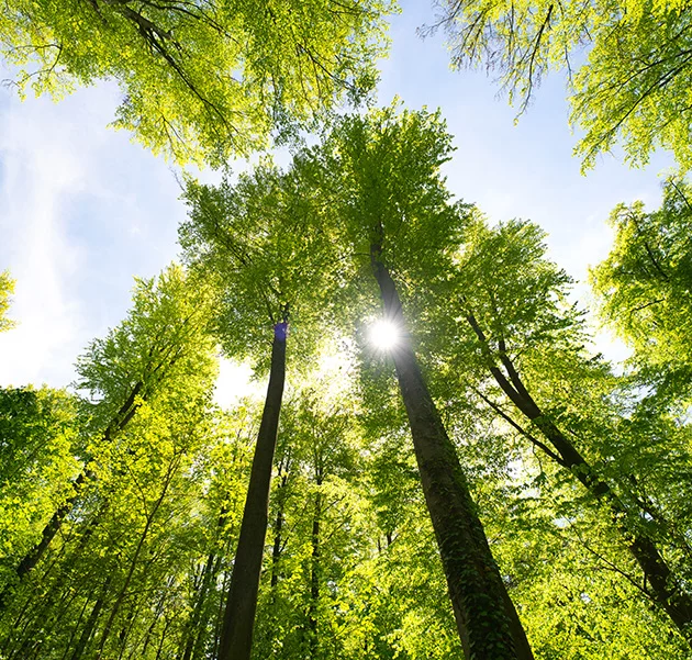 gettyimages 1469469418 lizenz v2