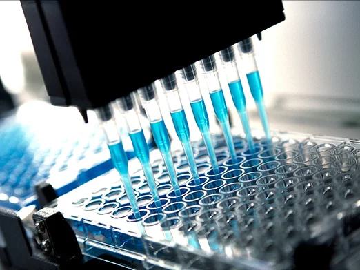 gettyimages 94098912 lizenz